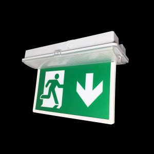 IP65 emergency LED light - Imagen 3