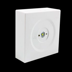 LED Emergency Downlamp - Image 2